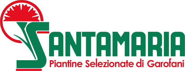 Santamaria